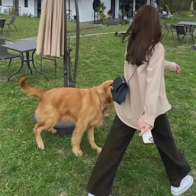 塞尔玛与路易丝海报